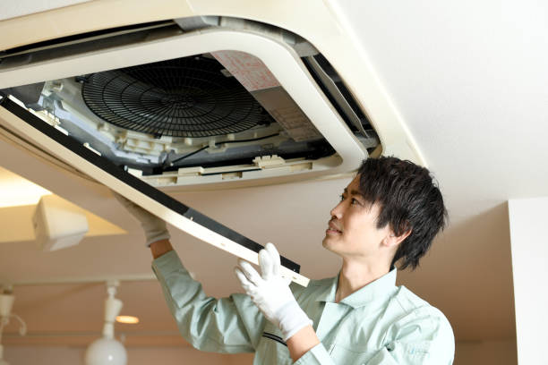Best Local Air Duct Cleaning Services  in Homeland, GA