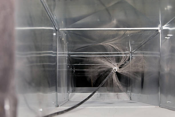 Best Dryer Vent Cleaning Services  in Homeland, GA
